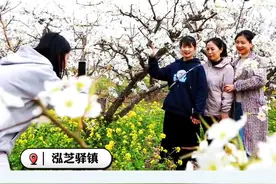 #春已至花已开愿山河无恙人间皆安#泓芝驿镇#梨花开 视频封面