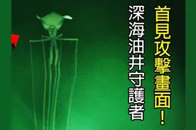 [生物放大镜] 身处深渊带的"油井守护者" #神秘生物视频封面