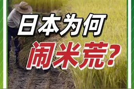 日本为何闹大米荒？天灾、战争、还是人祸？背后藏着怎样的黑幕？ @抖音短视频 @DOU+小助手 #人文星闪耀计划 #日本 #大米 #物价 #外贸