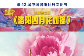 #第一视角御风洛阳赏牡丹  洛阳四月花如锦｜花young洛阳城视频封面