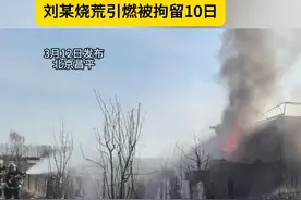 北京昌平兴寿草莓大棚起火  保温层被烧 草莓受损
刘某烧荒引燃被拘留10日（记者：新华）#北京视频封面
