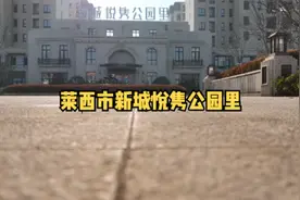 #航拍 莱西市新城悦隽公园里视频封面