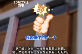 河南货车司机点赞西安高速绿通，西安收费站绿色通道“光速”审核。#绿通 #西安 #高速公路 #社会百态视频封面