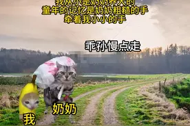 我和我的奶奶#猫meme #猫meme小剧场 #感人故事视频封面