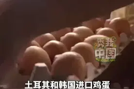 蛋荒持续，美国从韩国和土耳其进口鸡蛋。#秀我中国  #美国  #鸡蛋视频封面