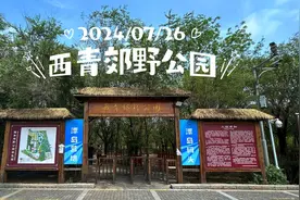 天津西青郊野公园，盛夏的荷花盛宴等你来打卡！ 荷花花季视频封面