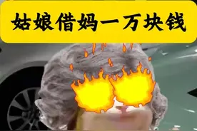 姑娘借妈一万块钱 #cheems #借钱 #内容启发搜索 #姑爷视频封面