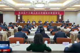 1月20日上午，自治区十三届人大三次会议主席团举行第二次会议视频封面