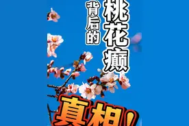 桃花癫背后的真相 #20岁小伙患“桃花癫” #桃花癫 #春季 #谈恋爱 #钟情妄想症