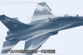我国新一代高教机L-15AW首次亮相迪拜航展 #东南军情 #迪拜航展 视频封面