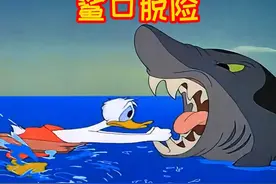 搞笑配音:唐老鸭三亚游泳,只因得罪小蜜蜂,差点让鲨鱼给欻欻喽视频封面