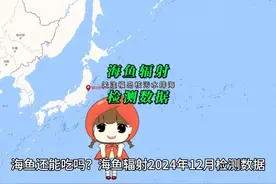 海鱼还能吃吗？海鱼辐射2024年12月检测数据。视频封面