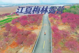 江夏30min🌸梅花海/绿皮火车/钓鱼，早春冷门地 在江夏的法泗街道视频封面