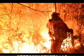 森林火灾警示案例6：祭祀烧纸无忌惮，有期徒刑两年半！视频封面