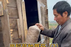 老丈人说塑料膜里的稻草杆能长出蘑菇？？？#记录真实生活 #我的乡村生活 #自家种植 #乡村新农人视频封面