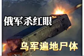 俄军打红眼了，大诺沃西尔卡惨烈血战，300名乌军被歼灭视频封面