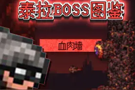 向导：？#泰拉瑞亚 #泰拉瑞亚手游 