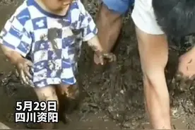 5月29日，四川资阳。2岁萌娃泥塘里捉泥鳅行云流水，姑姑:太厉害了，大人都抓不到。#萌娃 #人类幼崽成长记 视频封面