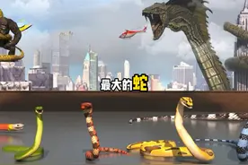 你知道世界上最大的蛇有多大吗 #科普 #你不知道的冷知识视频封面