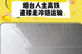 烟台站，会给每一个背叛烟台，出去的打工的人一点小惩戒#山东 #烟台 #高铁站 #震惊 #万万没想到