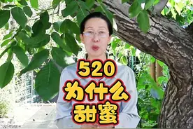 溯源甜蜜：520我们在一起 甜蜜源于辛苦的劳动 国际蜜蜂日视频封面