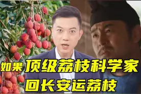 顶级荔枝科学家回唐朝运荔枝，能扛过几集？（央视频号：#主播说三农  ）