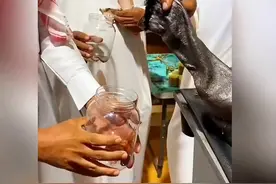 几位迪拜大佬正在到一种昂贵的液体，不知道的还以为是芒果汁呢视频封面