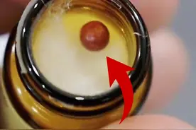 #云南白药的保险子 ，千万别弄丢了，会有意想不到的作用#涨知识#科普#生活常识
