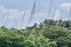 杭州西湖“妖气冲天”？造就此奇观的摇蚊是什么？为何能聚虫成烟视频封面
