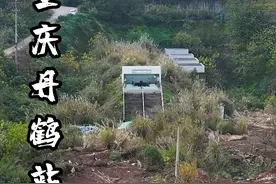 重庆最孤独的地铁站，出站口就是荒山野岭，很多网友直呼带把锄头到站就能直接下地种菜了！#旅行大玩家 #城市建筑标志 #地铁站 #航拍