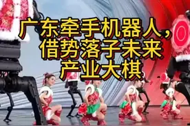 广东牵手机器人，借势落子未来产业大棋 广东发展机器人产业视频封面