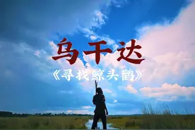 《寻找鲸鱼头鹳》 ——和大熊猫一样稀有，濒危灭绝的鸟类，鲸头鹳。
乌干达维多利亚湖的深处，有一片巨大的沼泽，那里是鲸头鹳的家园。我和两个当地船老大，驾驶一艘简易的木船，去寻找从恐龙时代活到今天的鸟。
在沼泽地狭窄的水路上，听，那是鲸头鹳的喙鸣……视频封面