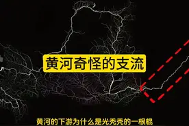 黄河的下游为什么没有支流？光秃秃的像个钢铁直男直入大海 #黄河视频封面