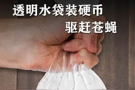 透明水袋装硬币，就能驱赶苍蝇，这是什么原理？ #趣味实验 #涨见识 #原理 #抖音知识年终大赏视频封面
