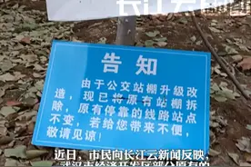 市民吐槽公交站牌“挂树上”，官方回应：已约谈施工方视频封面