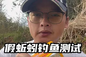 仿真蚯蚓钓鱼，测试鱼会被轻易骗到吗？ #钓鱼技巧 #钓鱼测试 #饵料测试 #速散维它米 #鱼栖林鲸栖翘视频封面
