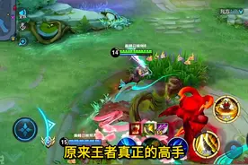 男生打游戏厉害的原因终于找到了，公孙离杀疯了#公孙离视频封面