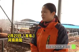 2月27日（发布），河南南阳。女大学生返乡养牛成正高级职业农民，带领乡亲产业致富！2023年再次当选全国人大代表，她说“是荣誉，更是沉甸甸的责任”！#河南dou知道视频封面