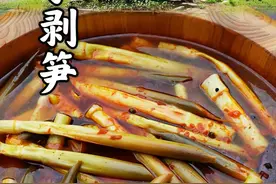 手剥笋 现拔山笋鲜嫩脆！手剥现做麻辣味手剥笋，麻辣脆爽！#我的乡村生活 #农村美食 #新农人计划2025 #谷雨吃春分外鲜 #乡野春日地图