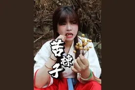 【苦楝子】无患子手串刚安排好，苦楝子手串又可以安排上了 #苦楝子 #苦楝子手串 #苦楝子膏 #绿化带文玩 #万物皆盘