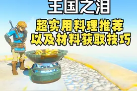 【塞尔达】分享王泪中那些超实用的料理药水组合以及食材获取技巧