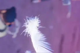 哪一个3D特效最让你印象深刻~#电影熊出没重启未来视频封面