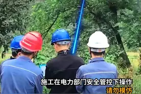 武侠走进现实！电力局用激光炮修剪树枝视频封面