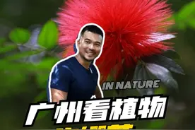 树上长出的毛茸茸，你怎么可以拒绝？！ @摄影师马锐 #自然里植物学社 #守护荒野 #科普 #dou爱送温暖视频封面