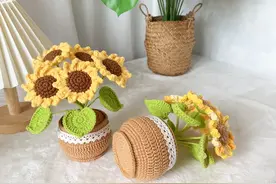 通用花盆 #爱生活爱编织 #我的手工作品 #手工制作视频封面