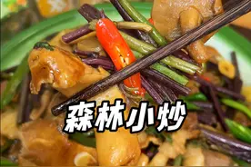 东北山野菜炒五花肉太香了，都是生长在深山自然环境中，所以无污染营养还好吃 #森林小炒  #大自然的馈赠  #下饭菜  #菌菇视频封面