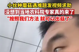 小伙种蘑菇遇难题发视频求助，没想到当地农科院专家真的来了，“按照我们方法 就可以出菇了”#湖北dou知道视频封面