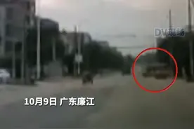 10月9日，校车掉头与驶来货车发生碰撞，周围群众见状立马上前救出被困孩子。#广东dou知道视频封面