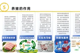 养猪的作用 养猪的作用，提供肉食，促进产业循环，环保视频封面