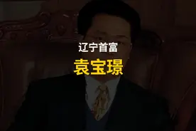 袁宝璟：28岁成为亿万富豪，33岁娶教授，40岁被判死刑！ #袁宝璟视频封面